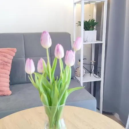 Apartament Wrzosowy アパート *